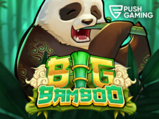 Casino bingo online22